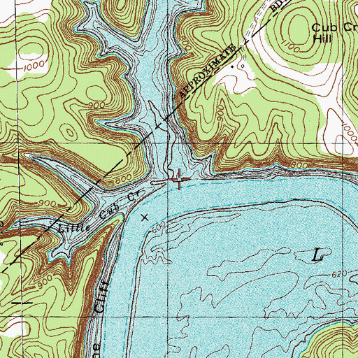 Topographic Map of Cub Creek, KY