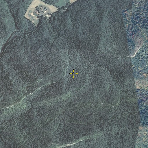 Aerial/Satellite Image of Cumberland Mountain, VA