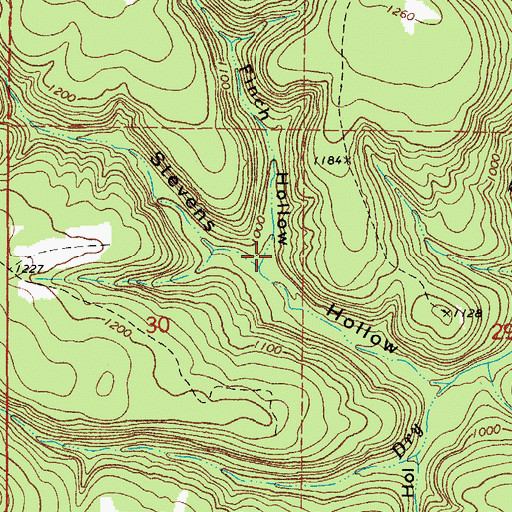 Topographic Map of Finch Hollow, AR