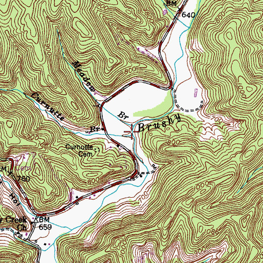 Topographic Map of Curnutte Branch, KY