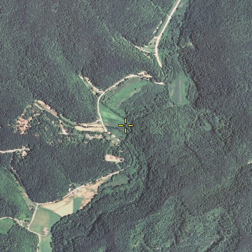 Aerial/Satellite Image of Curnutte Branch, KY