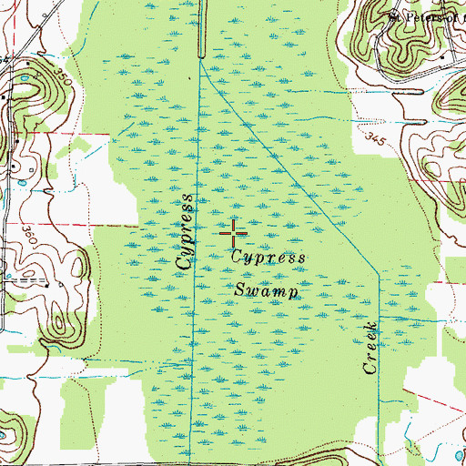 Topographic Map of Cypress Swamp, KY