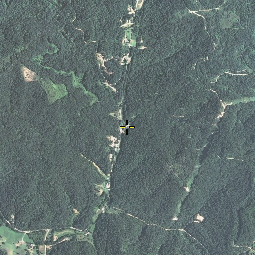 Aerial/Satellite Image of Damron Branch, KY