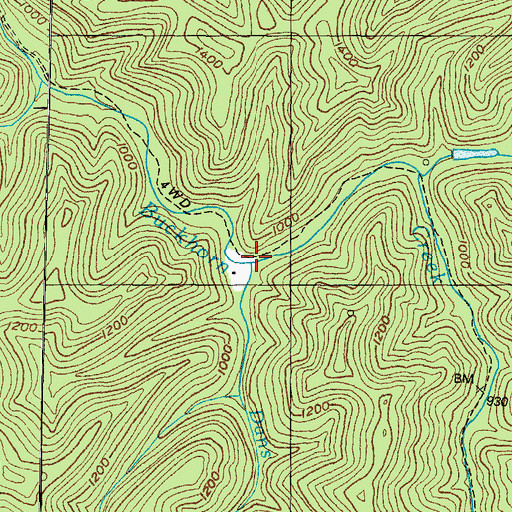 Topographic Map of Dans Fork, KY