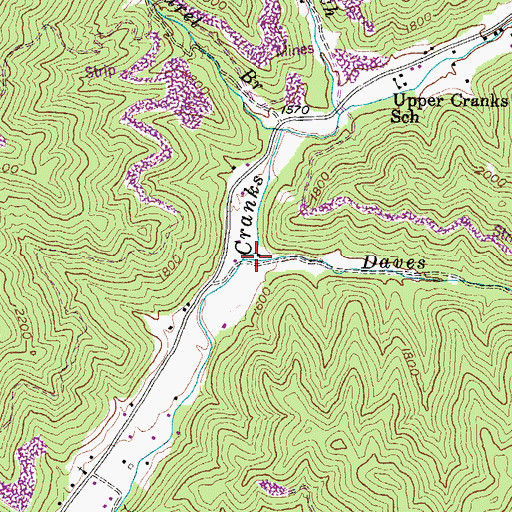 Topographic Map of Daves Branch, KY