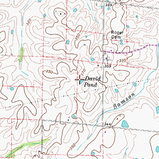 Topographic Map of David Pond, KY