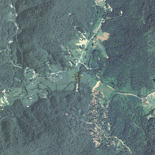 Aerial/Satellite Image of Davis Branch, KY