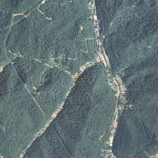Aerial/Satellite Image of Davis Branch, KY