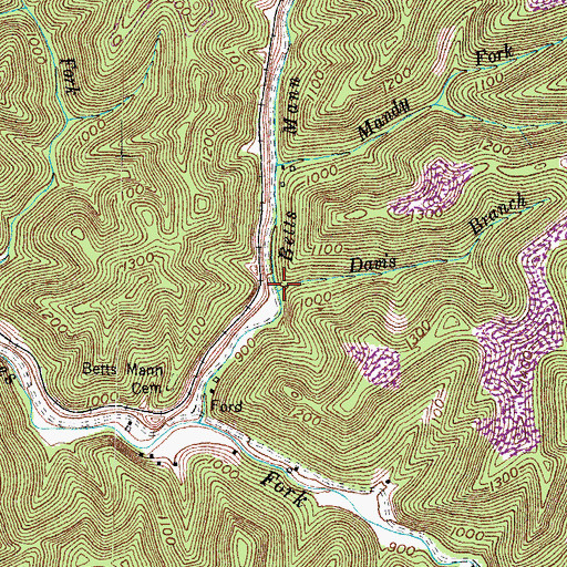 Topographic Map of Davis Branch, KY