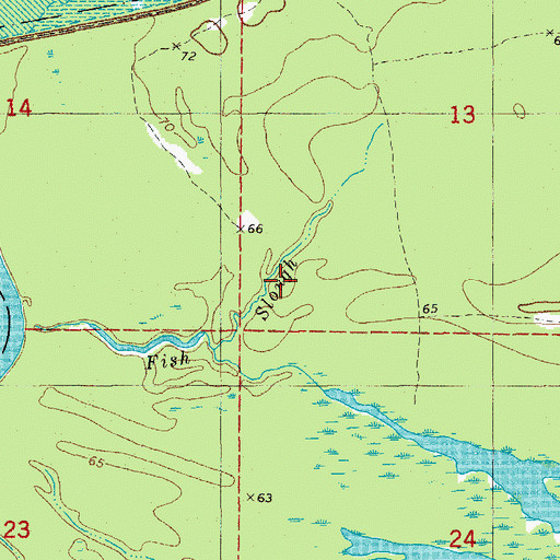 Topographic Map of Fish Slough, AR