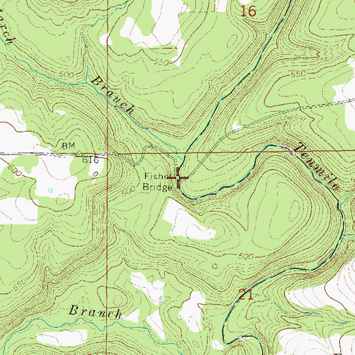 Topographic Map of Fisher Bridge, AR