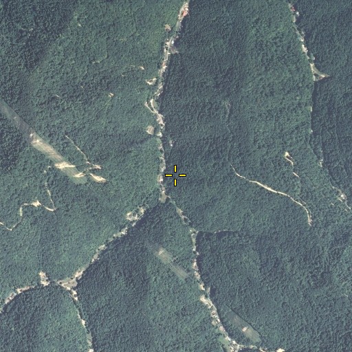 Aerial/Satellite Image of Deadening Fork, KY