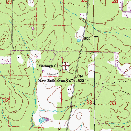 Topographic Map of Fitzhugh Cemetery, AR