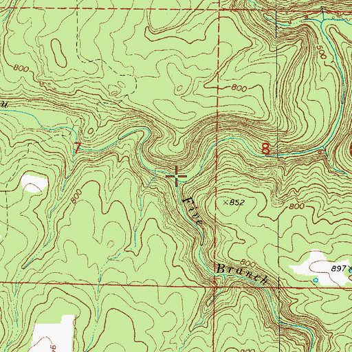 Topographic Map of Five Branch, AR