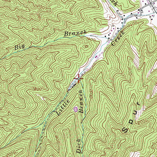 Topographic Map of Dick Branch, KY
