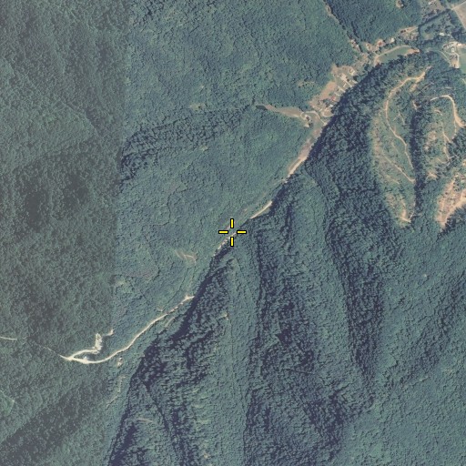 Aerial/Satellite Image of Dick Branch, KY