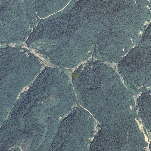 Aerial/Satellite Image of Dicks Fork, KY
