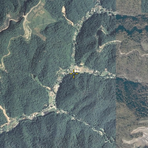 Aerial/Satellite Image of Dicks Fork, KY