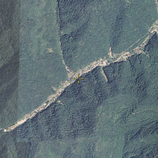 Aerial/Satellite Image of Dicks Fork, KY