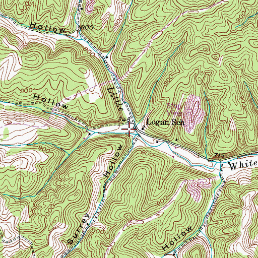 Topographic Map of Dog Hollow, KY