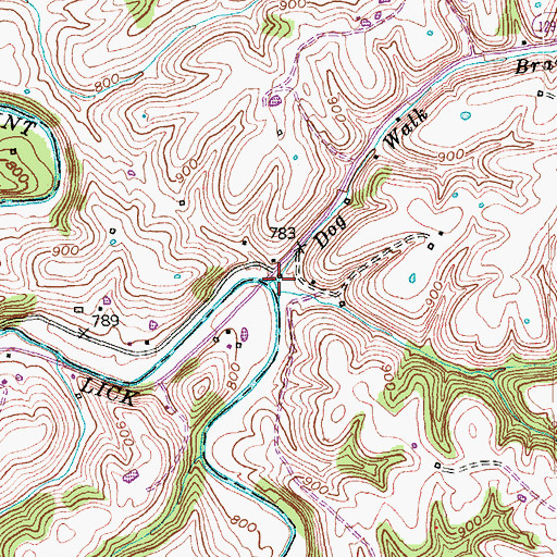 Topographic Map of Dog Walk Branch, KY