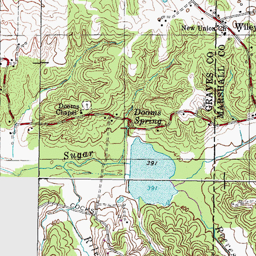 Topographic Map of Dooms Spring, KY