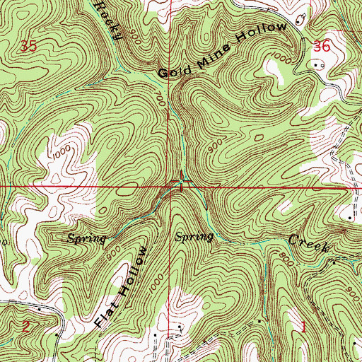 Topographic Map of Flat Hollow, AR