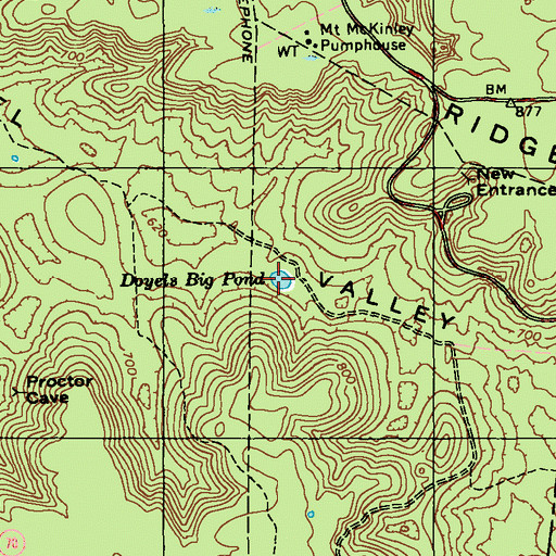 Topographic Map of Doyels Big Pond, KY
