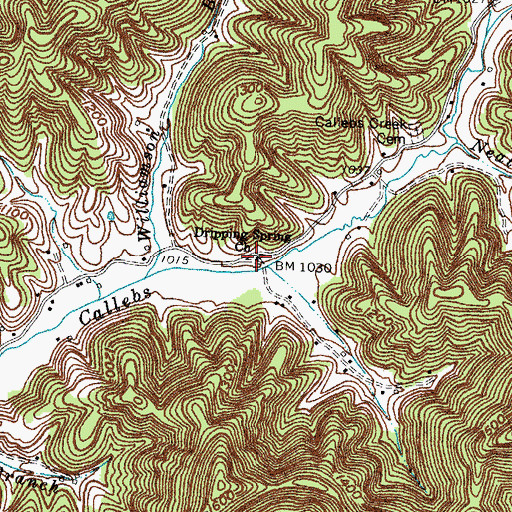 Topographic Map of Dripping Spring Church, KY