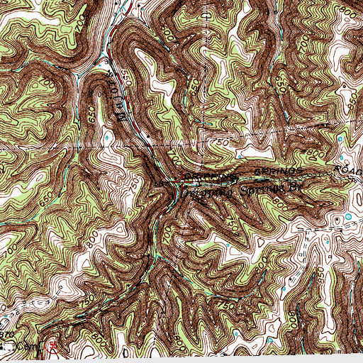 Topographic Map of Dripping Springs Branch, KY