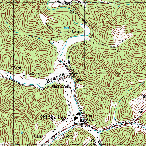 Topographic Map of Dry Branch, KY
