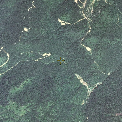 Aerial/Satellite Image of Dry Fork, KY