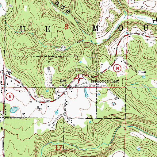 Topographic Map of Flatwoods Cemetery, AR