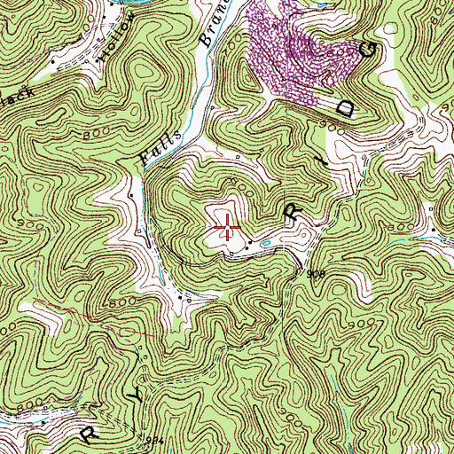 Topographic Map of Dry Ridge, KY