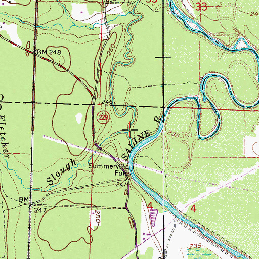 Topographic Map of Fletcher Slough, AR