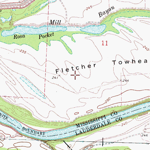 Topographic Map of Fletcher Towhead, AR