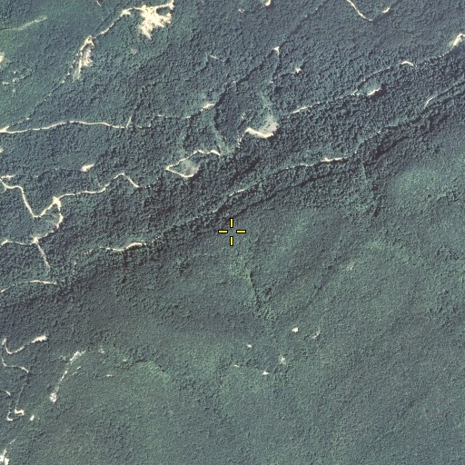 Aerial/Satellite Image of Dutton Gap, KY