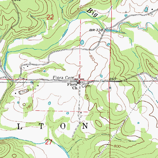 Topographic Map of Flora Cemetery, AR
