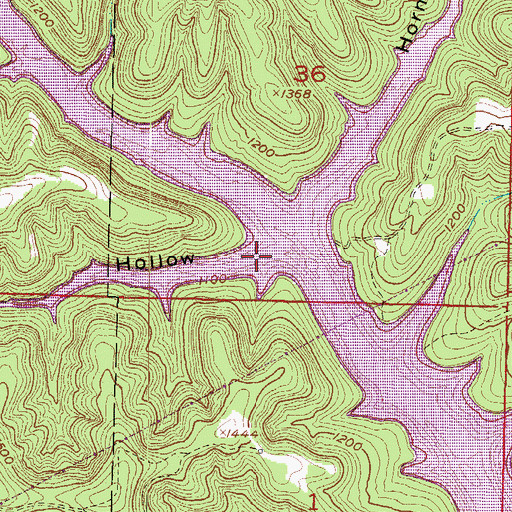 Topographic Map of Ford Hollow, AR