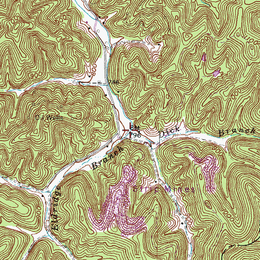 Topographic Map of Eldridge Branch, KY