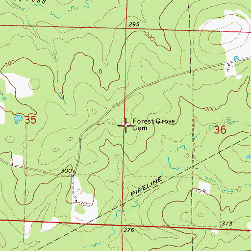 Topographic Map of Forest Grove Cemetery, AR