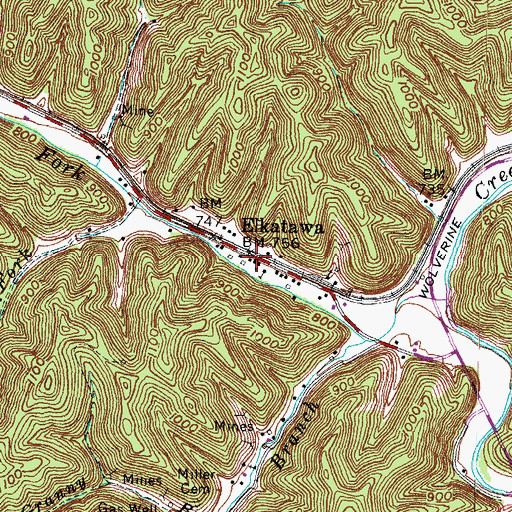 Topographic Map of Elkatawa, KY