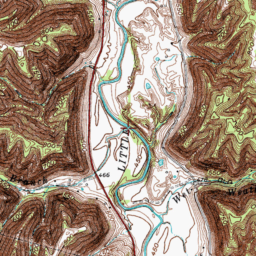 Topographic Map of Ellis Branch, KY