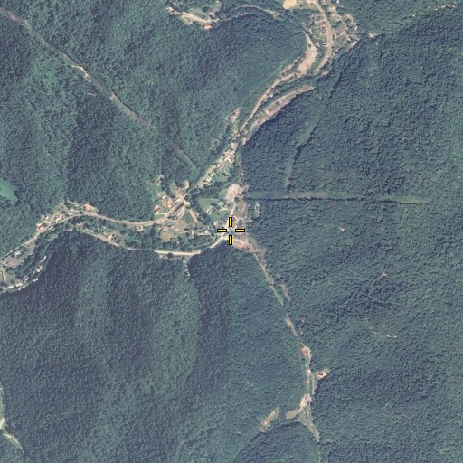 Aerial/Satellite Image of Elswick Branch, KY