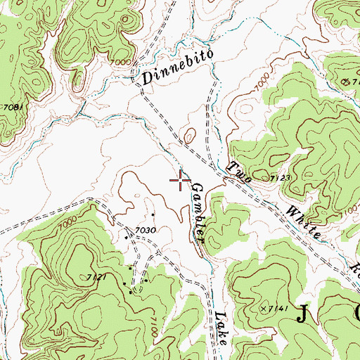 Topographic Map of Gambler Lake Wash, AZ