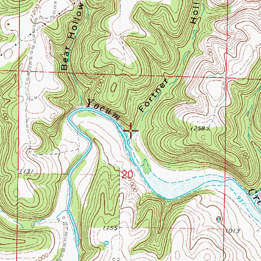 Topographic Map of Fortner Hollow, AR