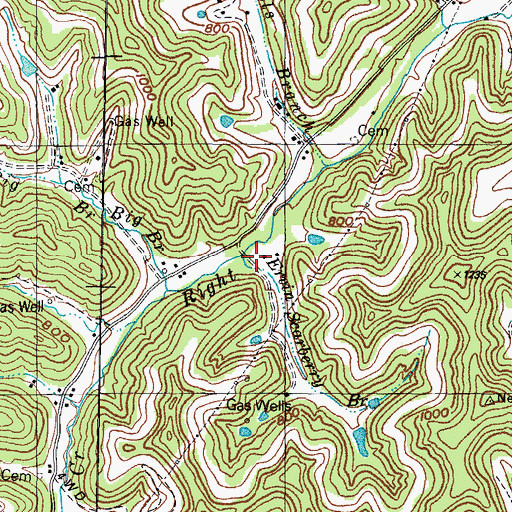 Topographic Map of Ervin Scarberry Branch, KY