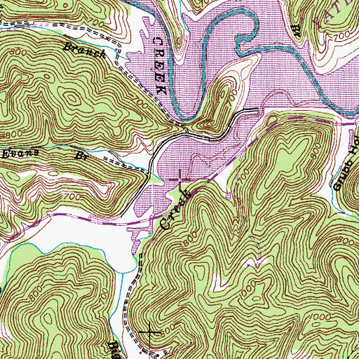 Topographic Map of Evans Branch, KY