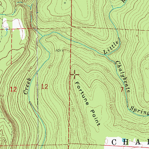 Topographic Map of Fortune Point, AR