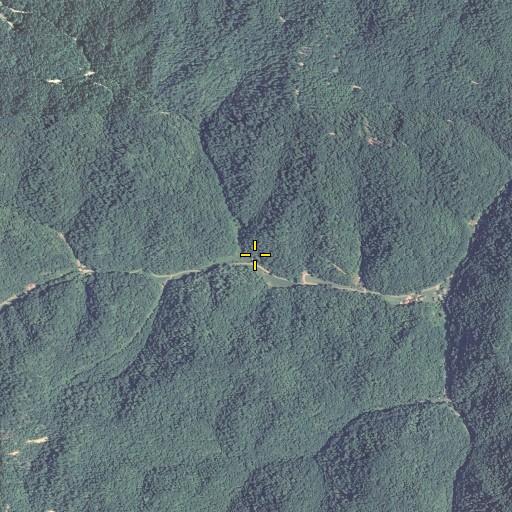 Aerial/Satellite Image of Eye Fork, KY